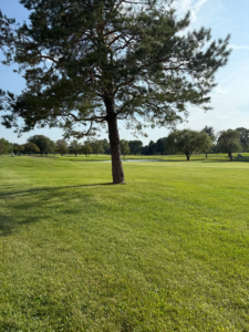 Wedgewood Golf Course