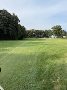 Wedgewood Golf Course